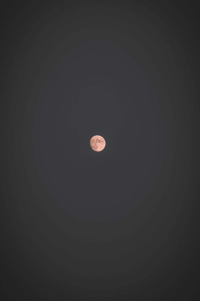 Sternblick Astronomie GmbH 9